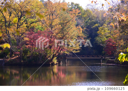 湖面に映る紅葉が美しい震生湖の秋 湖面に映る紅葉が美しい震生湖の秋 109660125