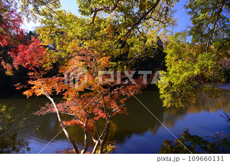 湖面に映る紅葉が美しい震生湖の秋 109660131