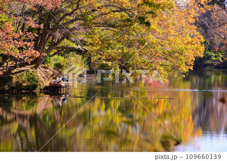 湖面に映る紅葉が美しい震生湖の秋 湖面に映る紅葉が美しい震生湖の秋 109660139