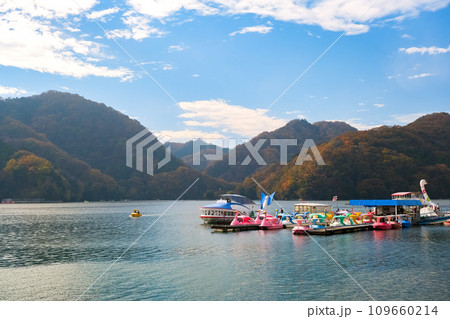 神奈川県相模原市 紅葉に染まる相模湖 109660214