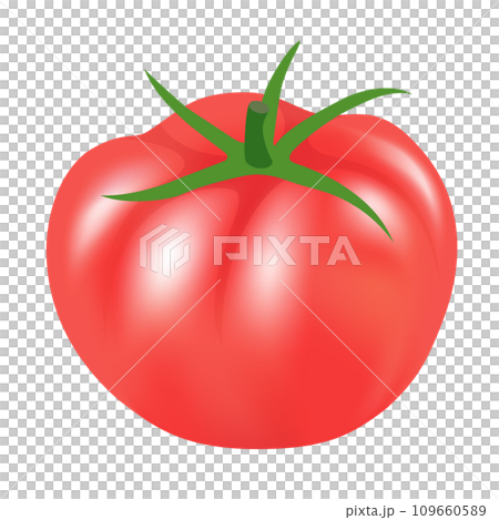 蕃茄 109660589