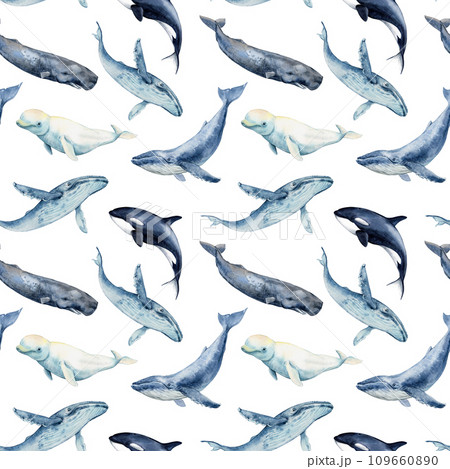 Seamless pattern with whales. Repeating texture with marine mammals. Watercolor illustration. Beluga whale, sperm whale, killer whale, humpback whale. Pattern on a white background. Seamless pattern with whales. Repeating texture with marine mammals. Watercolor illustration. Beluga whale, sperm whale, killer whale, humpback whale. Pattern on a white background. 109660890