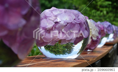 花と寺 花と寺 109660961