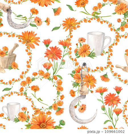 Calendula flowers on white, pattern 109661002