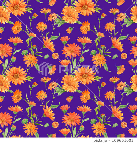 Calendula flowers on purple, pattern 109661003