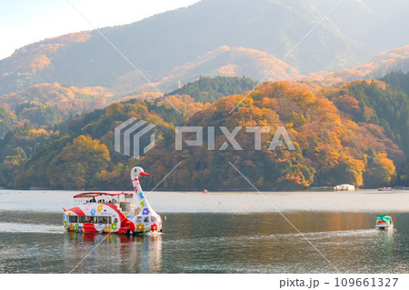 神奈川県相模原市 紅葉の相模湖と遊覧船 109661327