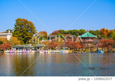 東京都 紅葉の上野公園、不忍池 東京都 紅葉の上野公園、不忍池 109662057