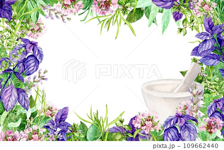 Watercolor square frame with garden herbs in botanical style. Illustration with fresh kitchen greens. Sage, basil, rosemary, tarragon, mint, bay leaf. Spices of Italian cuisine and a white mortar. 109662440