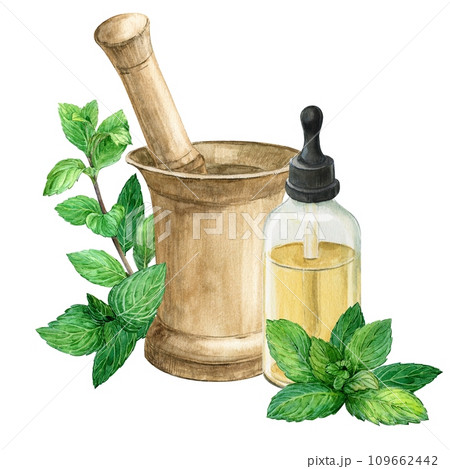 A bottle of mint essential oil on a white background and an antique copper mortar for herbs. Green fresh lemon balm leaves. Watercolor illustration. Composition for the design of phytopreparations. 109662442
