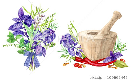 Bouquet of rosemary, marjoram, sage and thyme, basil, mint, tarragon. Spicy herbs and wood mortar. Watercolor illustration. Bay leaf, chili, cloves - ingredients of Italian cuisine. Provence style. 109662445