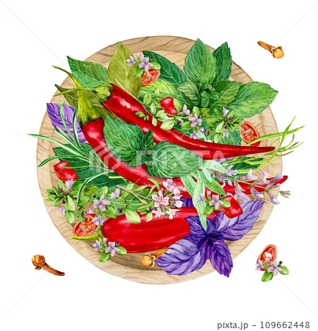 Colorful herbs for cooking: basil, tarragon, thyme, chili, cloves, mint, bay leaf and rosemary. Watercolor illustration. Provence spices in a wooden plate, top view. Colorful herbs for cooking: basil, tarragon, thyme, chili, cloves, mint, bay leaf and rosemary. Watercolor illustration. Provence spices in a wooden plate, top view. 109662448