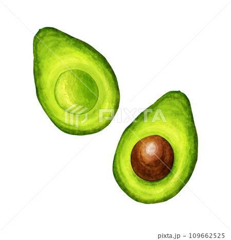 Avocado and half avocado , watercolor painting isolated on white background Avocado and half avocado , watercolor painting isolated on white background 109662525