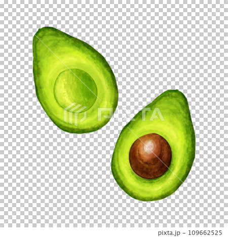 Avocado and half avocado , watercolor painting isolated on white background Avocado and half avocado , watercolor painting isolated on white background 109662525