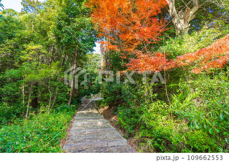 奈良県王寺町 第七代孝霊天皇 片丘馬坂陵の参道 奈良県王寺町 第七代孝霊天皇 片丘馬坂陵の参道 109662553