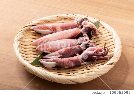 (アメリカ産)ボイル ヤリイカ (アメリカ産)ボイル ヤリイカ 109663093