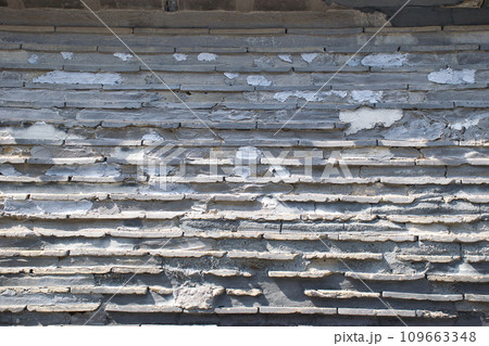 谷中　観音寺の築地塀（東京都台東区） 109663348