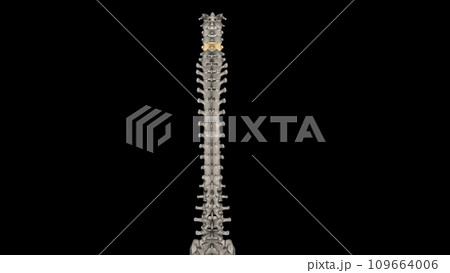 C5 provides sensation to the upper part of your upper arm down to your elbow C5 provides sensation to the upper part of your upper arm down to your elbow 109664006