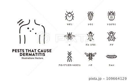 皮膚炎 害虫 アイコン セット 皮膚炎 害虫 アイコン セット 109664129
