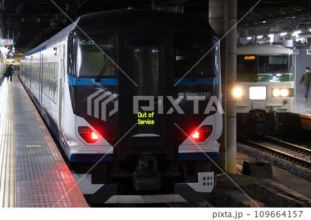 上野駅地平ホームに停車中のE257系・185系新幹線リレー色 109664157