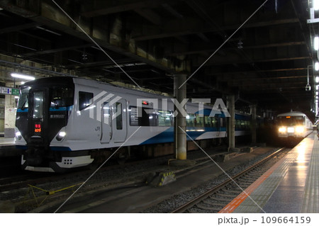 上野駅地平ホームに停車中のE257系・185系新幹線リレー色 109664159