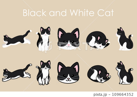 シンプルで可愛いハチワレ猫のイラストセット 109664352