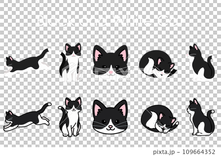 シンプルで可愛いハチワレ猫のイラストセット 109664352