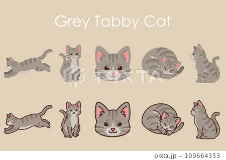 シンプルで可愛いサバトラ猫のイラストセット シンプルで可愛いサバトラ猫のイラストセット 109664353