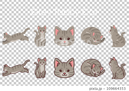 シンプルで可愛いサバトラ猫のイラストセット シンプルで可愛いサバトラ猫のイラストセット 109664353