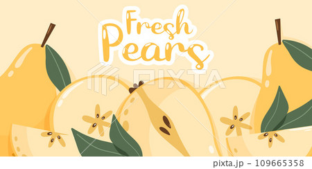 Summer pear background with text fresh pears. Slices and whole fruits. Harvesting, healthy food concept. Cartoon vector illustration for banner, poster, flyer, card Summer pear background with text fresh pears. Slices and whole fruits. Harvesting, healthy food concept. Cartoon vector illustration for banner, poster, flyer, card 109665358