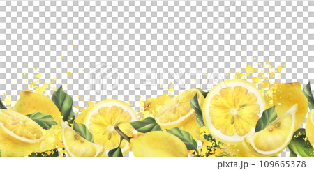Lemons are yellow, juicy, ripe with green leaves, whole and slices. Watercolor, hand drawn botanical illustration. Seamless border horizontal pattern on a white background. 109665378