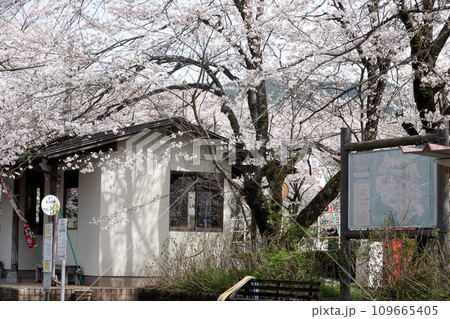 岐阜県揖斐郡揖斐川町_谷汲口駅14_2023年3月 109665405