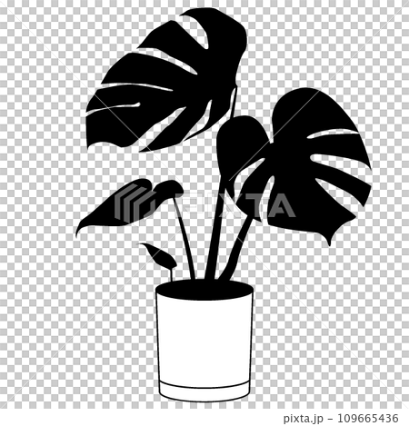 Illustration of houseplants (monochrome) 109665436