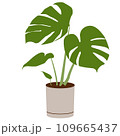 観葉植物のイラスト 109665437