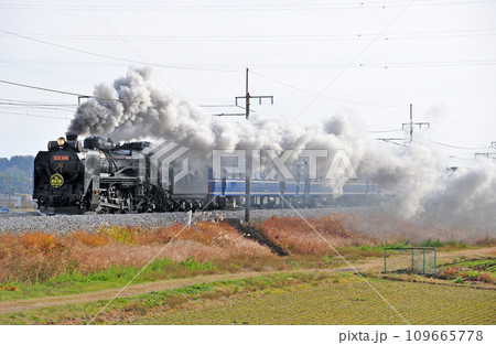 上越線　八木原ー渋川　JR東日本　DD51-498＋12系（高崎）　SLみなかみ 109665778
