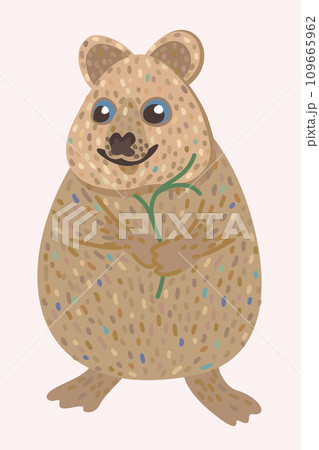Quokka. Small funny australian wild animal. Vector isolated illustration. Quokka. Small funny australian wild animal. Vector isolated illustration. 109665962
