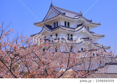 尼崎城（兵庫県尼崎市）桜咲く 109666009