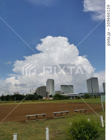 多摩川河川敷　二子玉川付近　入道雲 109666139