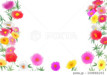 松葉牡丹の花のカード2 109666201