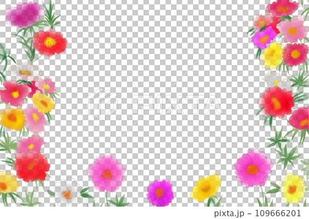 Matsuba peony flower card 2 109666201