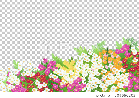 ヤロウ、鋸草（ノコギリソウ）の花のカード2 109666203
