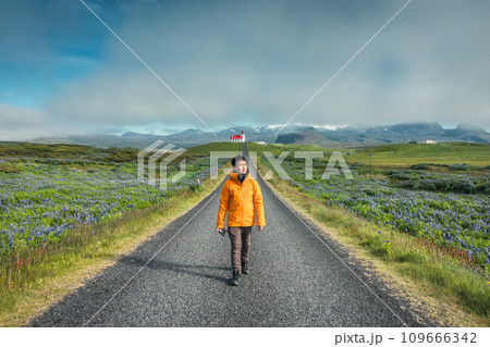 Asian man enjoying at Ingjaldsholskirkja church on hill among lupine wildflower in summer at Iceland Asian man enjoying at Ingjaldsholskirkja church on hill among lupine wildflower in summer at Iceland 109666342