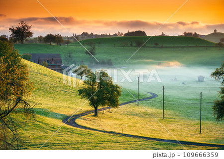 Rural scene with curved road, tree and small village in the valley and foggy morning at Switzerland 109666359