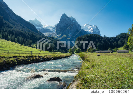 View of Rosenlaui with wellhorn and Reichenbach river in summer at Bern, Switzerland 109666364