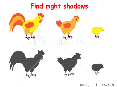 Shadow matching activity for preschoolers. Rooster, hen, chick. Puzzle find the printable sheet with the correct silhouette. Shadow matching activity for preschoolers. Rooster, hen, chick. Puzzle find the printable sheet with the correct silhouette. 109667519