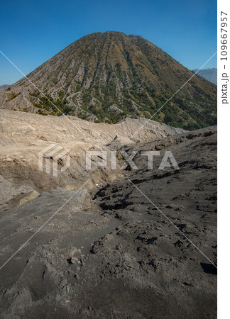 Bromo in the beautiful morning 109667957
