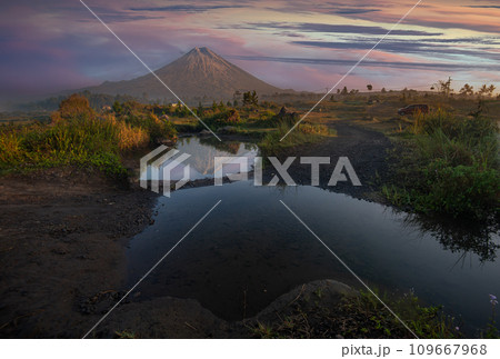 Bromo in the beautiful morning 109667968
