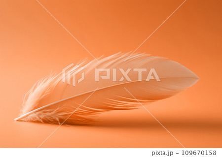Download Feathers Plumage Fragile Royalty-Free Stock Illustration