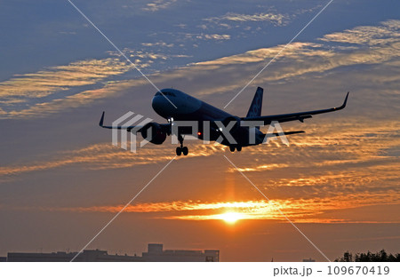 成田34Lピーチアブローチ 109670419