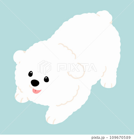 遊びに誘うシンプルで可愛いビション・フリーゼのイラスト　主線なし 109670589