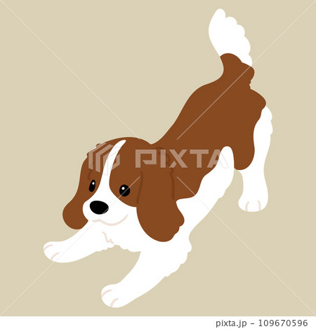 遊びに誘うシンプルで可愛いキャバリア・キング・チャールズ・スパニエル 主線なし 遊びに誘うシンプルで可愛いキャバリア・キング・チャールズ・スパニエル 主線なし 109670596